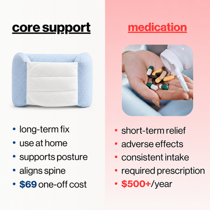 core 2.0 – back support pillow