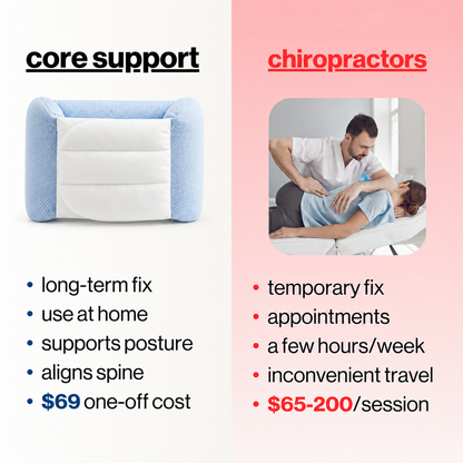 core 2.0 – back support pillow