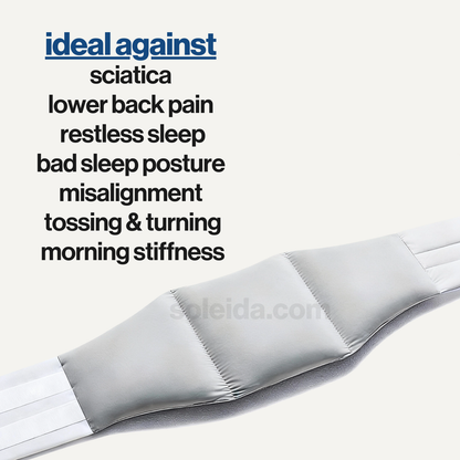 core - back support pillow