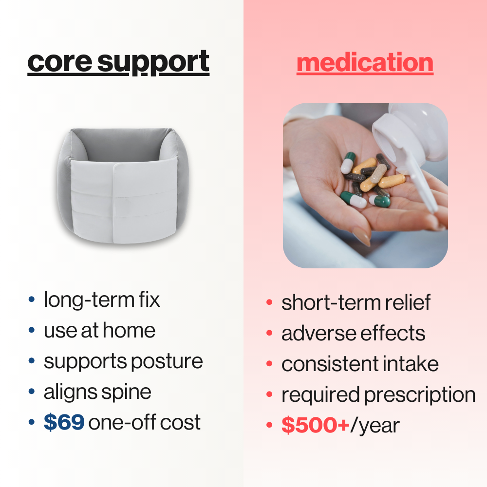 core - back support pillow