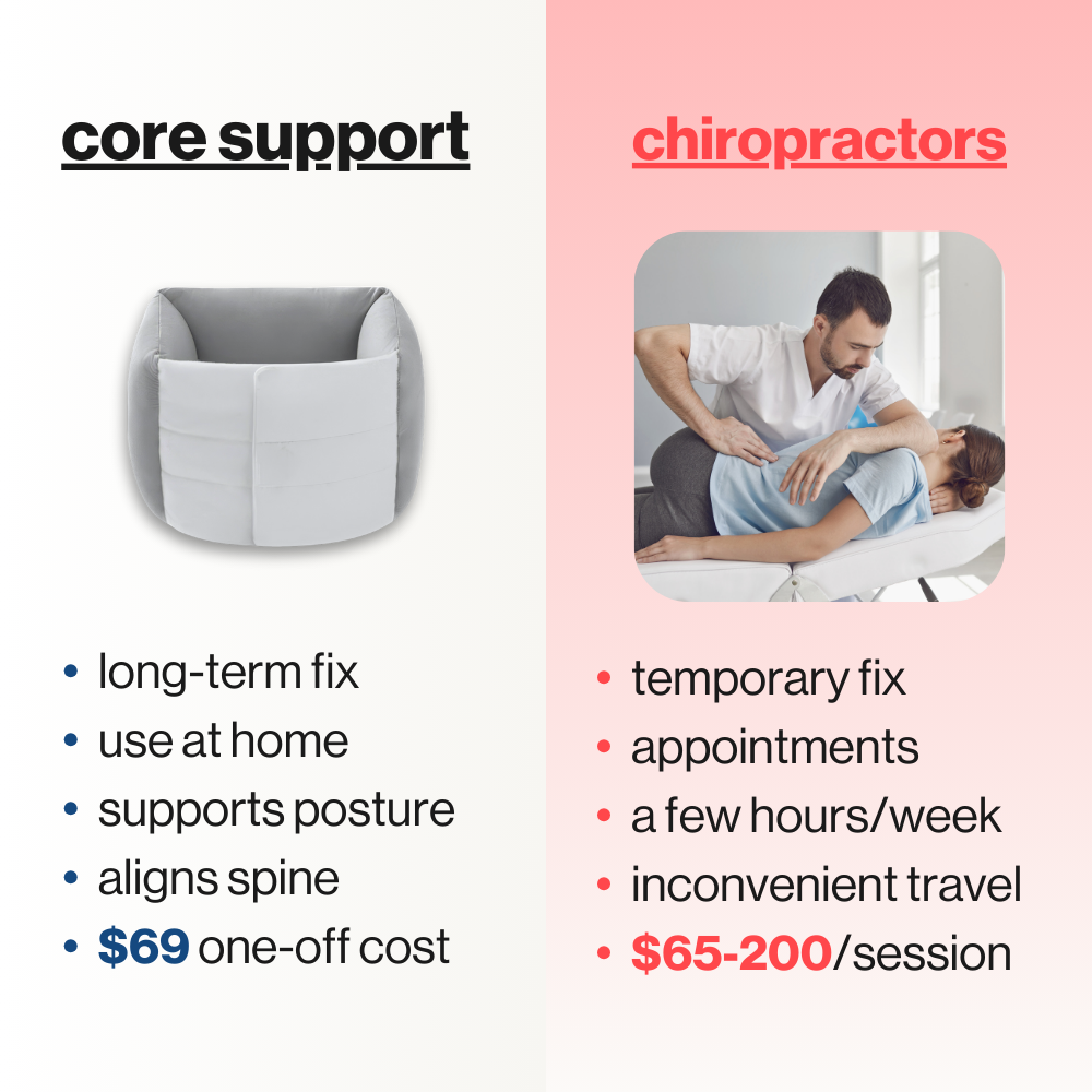 core - back support pillow