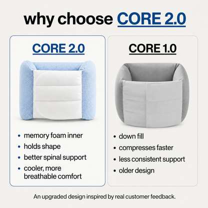 core 2.0 – back support pillow